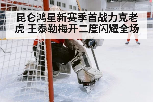 ice hockey defensive play