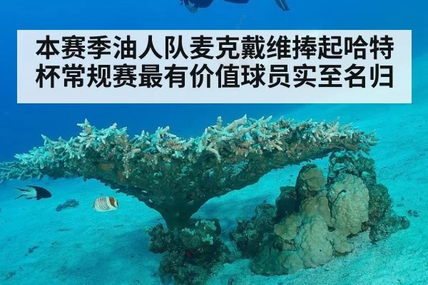 本赛季油人队麦克戴维捧起哈特杯常规赛最有价值球员实至名归